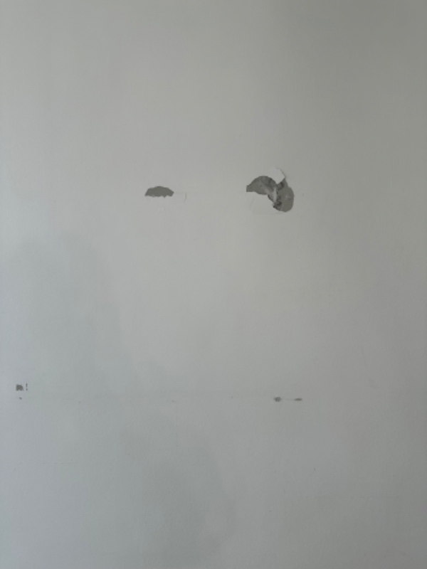 Male hele lejligheden