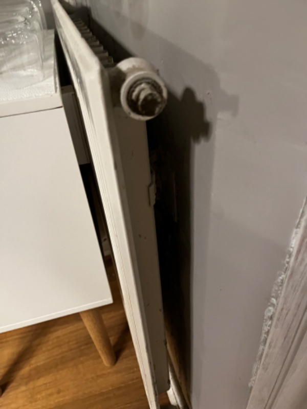 Fjerne 1 radiator - VVS