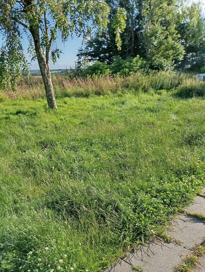 Havearbejde