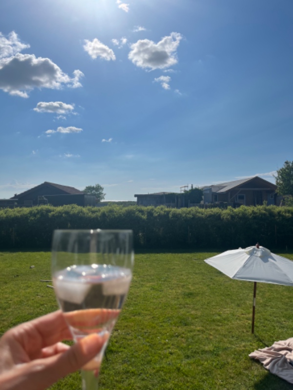 Lugning og hækklipning