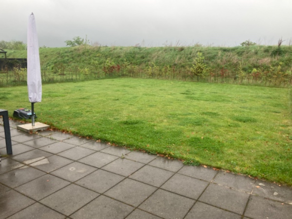 Fjern ukrudt og græsklipning