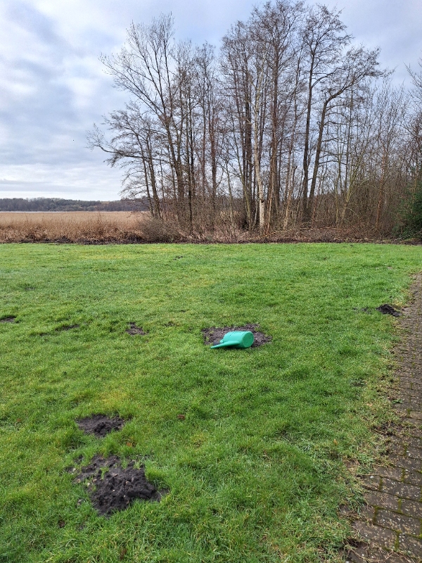 Fjernelse af træer og bortskaffelse