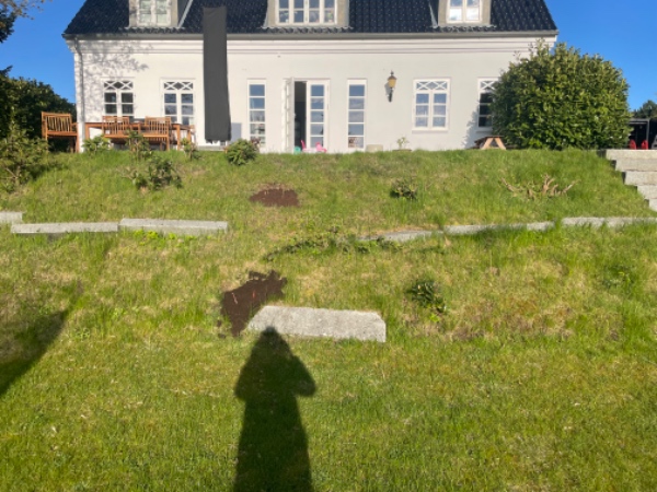 Fjernelse og bortkørsel af granitsten