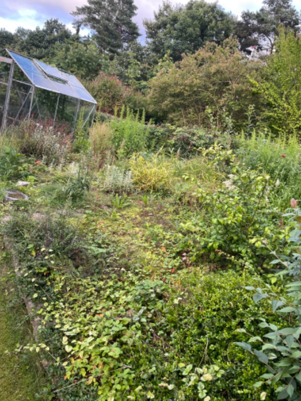 Udgravning til terrasse