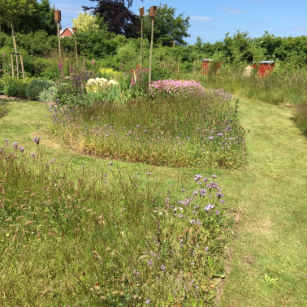 U kompliceret opsætning at tre lamper, samt vandhane lækker ved bordplade, skal sandsynligvis skrue