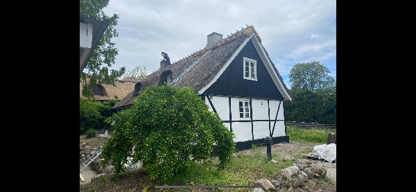 Mindre have græs og ukrudt