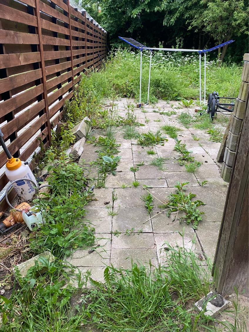 Alt græsset skal slås ned samt ukrudt skal fjernet