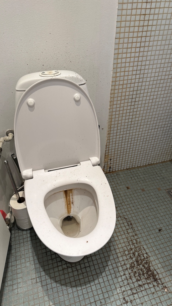 Toiletudskiftning på Frederiksberg
