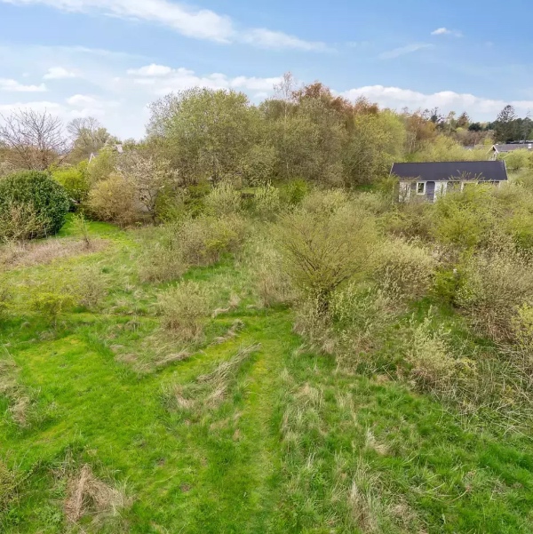 Rydning af sommerhusgrund