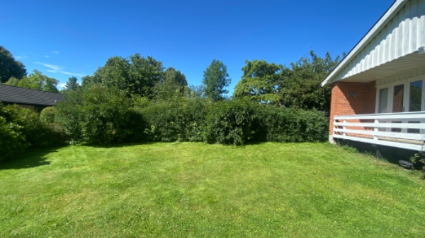 Klipning af hæk og fjernelse af affald