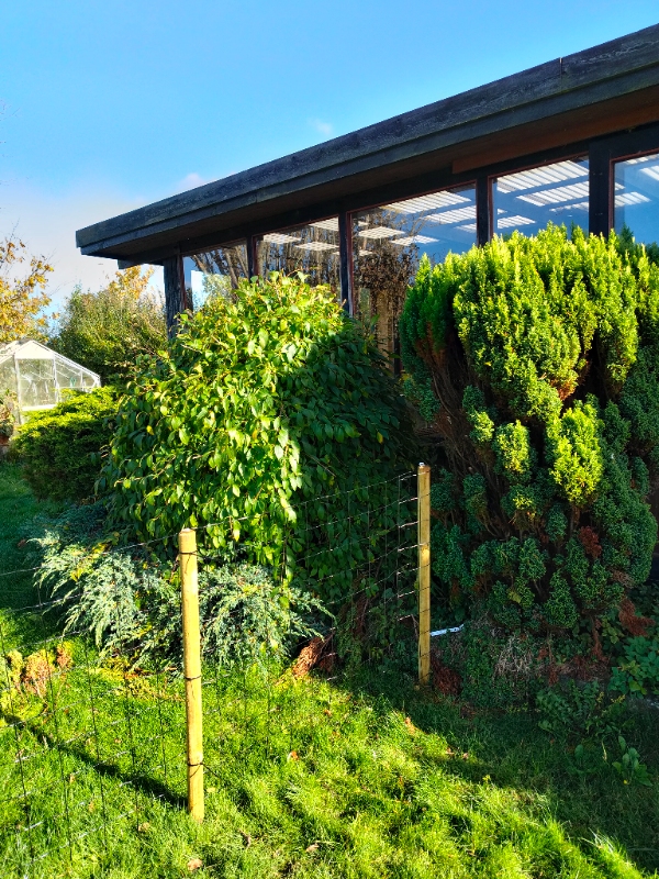 Have: Beskæring, nedrivning