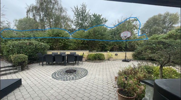 Have beskæring og hækklipning