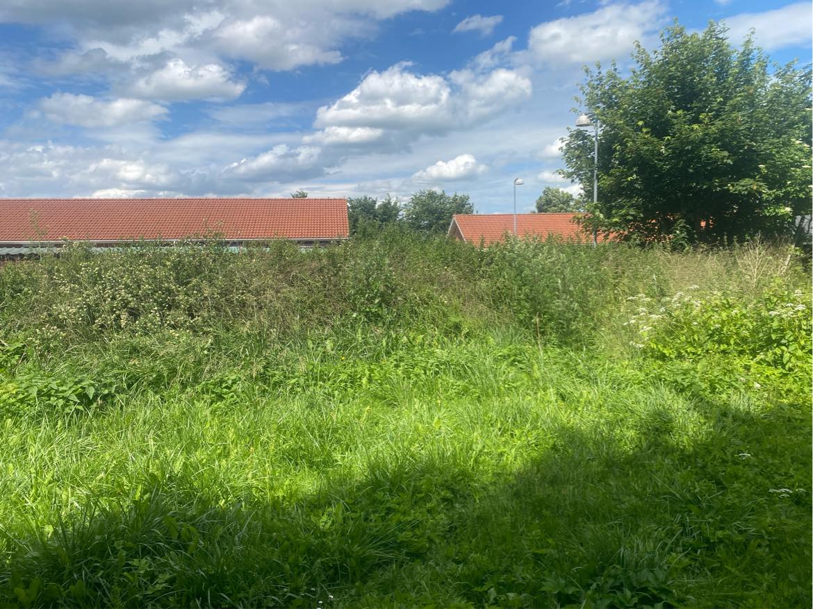 Køre hæk affald væk