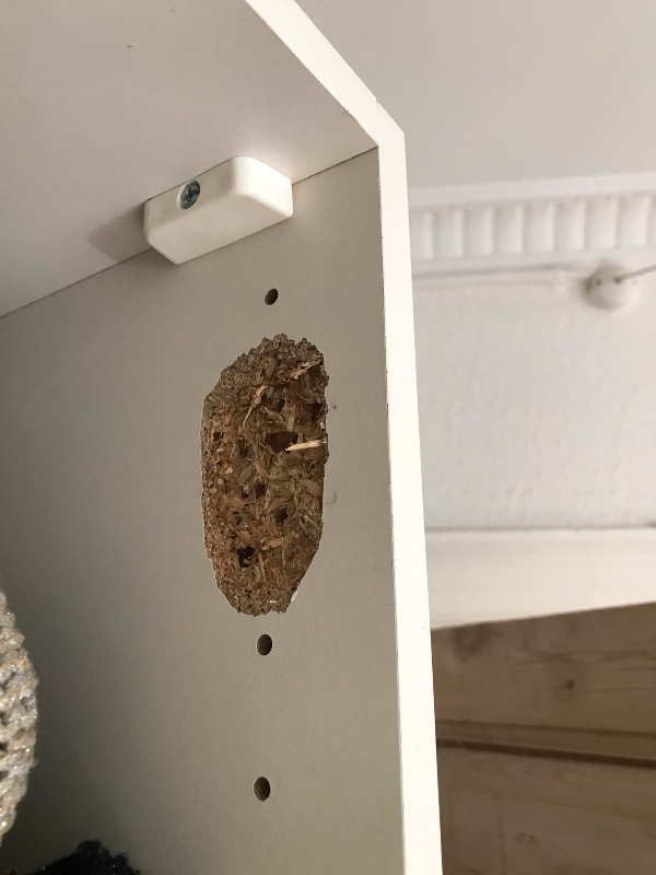 Montering af skabslåge