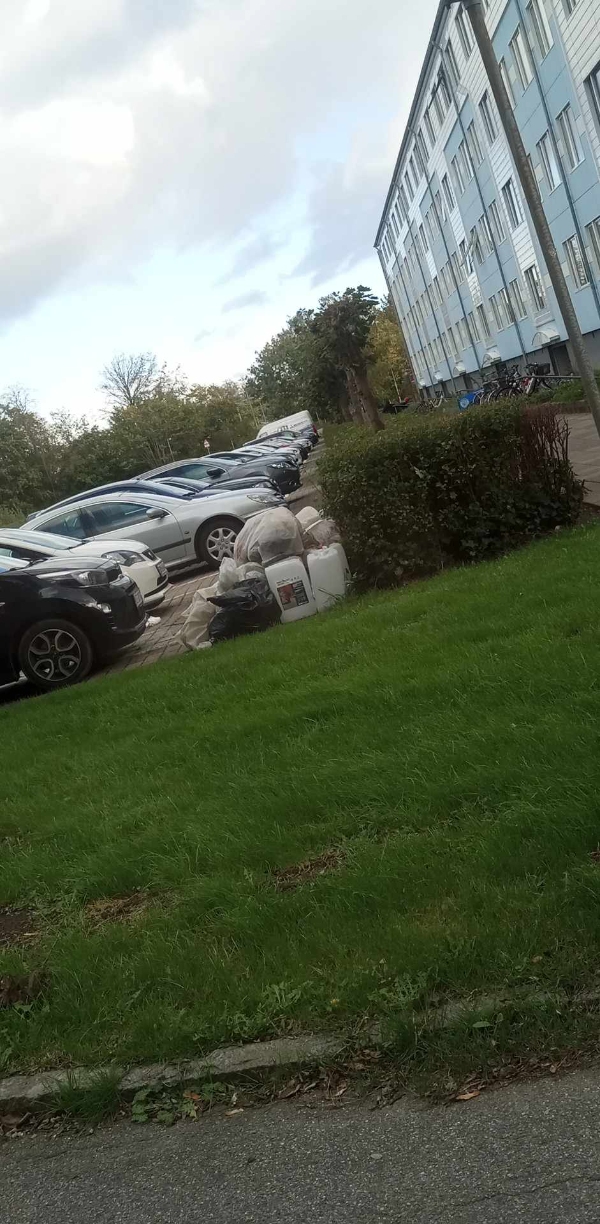 Hjælp til afhentning af lidt skrald