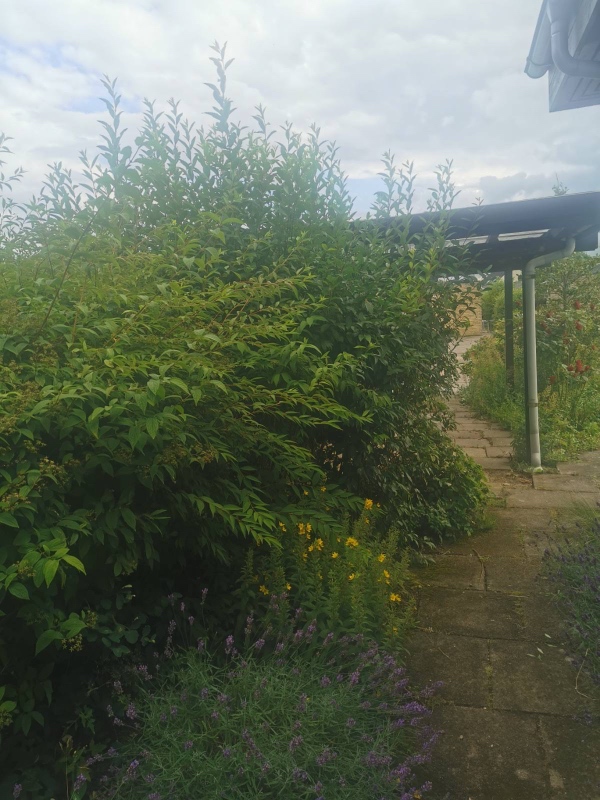 Meget havearbejde med forskellige opgaver