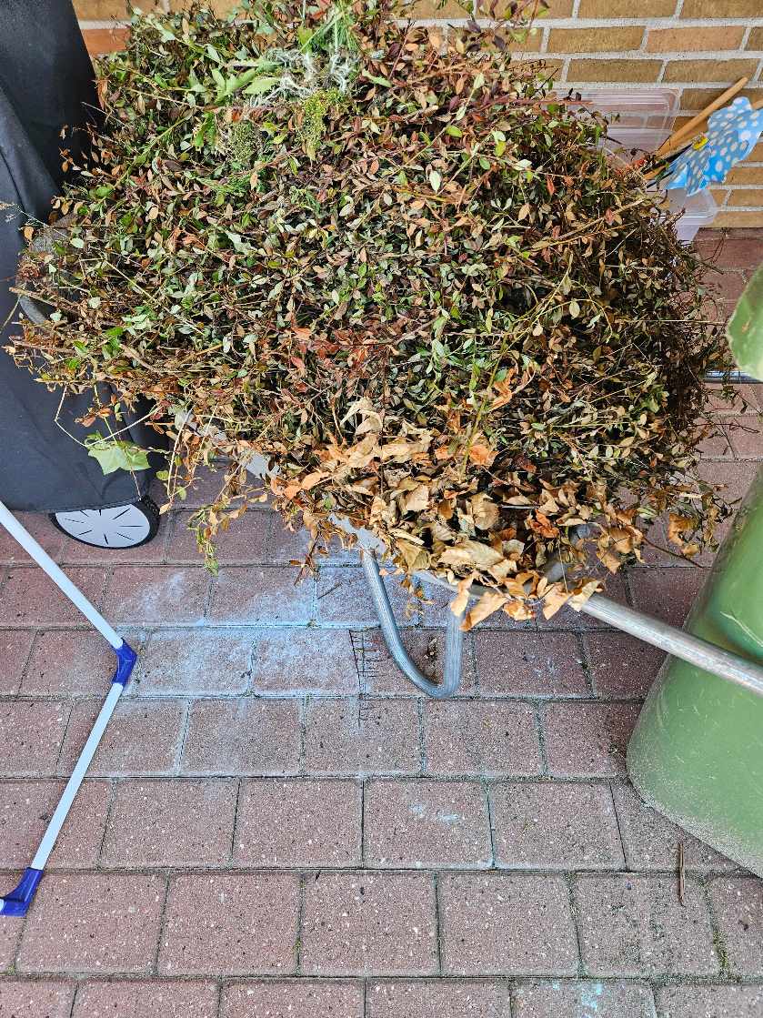 Bortkørsel af diverse til genbrugsplads