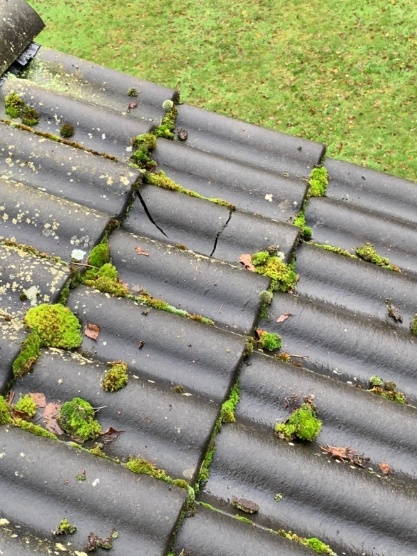 Reparation af tagsten