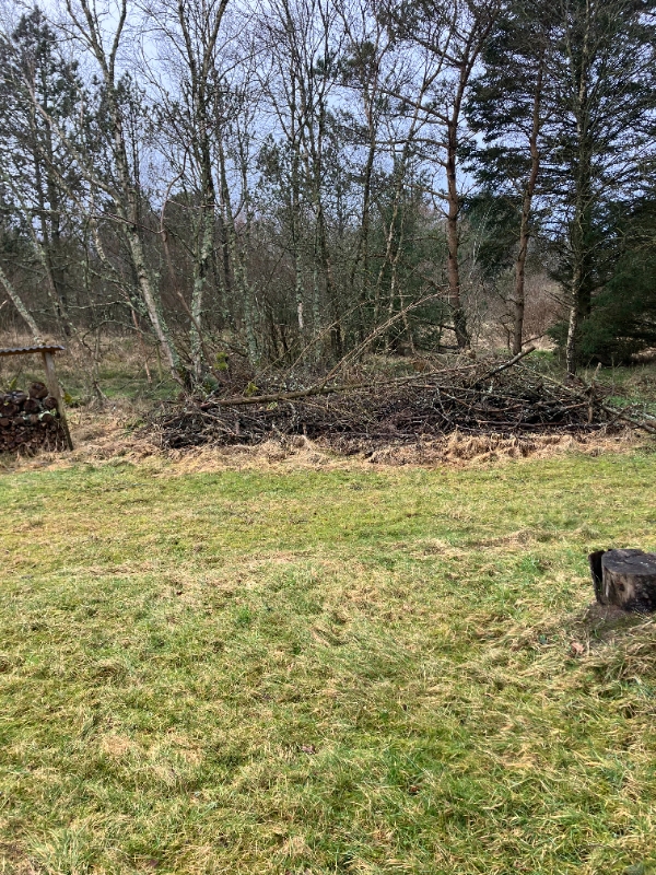 Jeg skal have fræset et stykke have med en del buske/rødder ca 12m x 6m evt. også fjernet grene fra træer som er fældet(ca 4-5 læs på en alminde privat trailer)