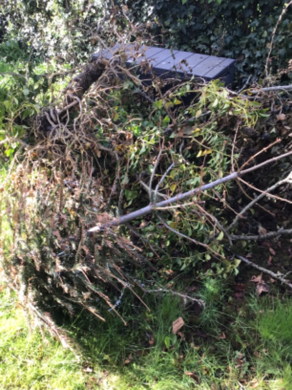 Bortskaffelse af gammelt havebord, døre, pap mm.