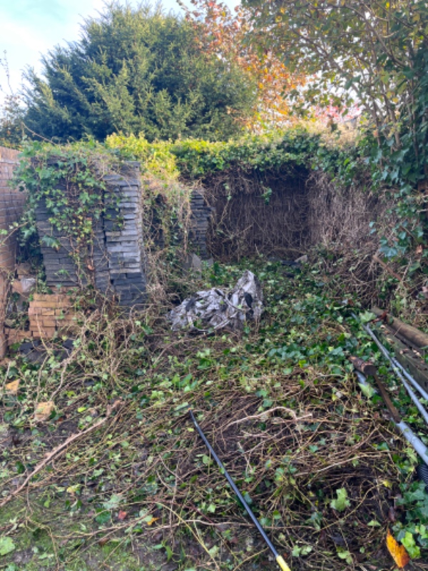 Havehjælp - Ryde område for efeu og fjerne fliser