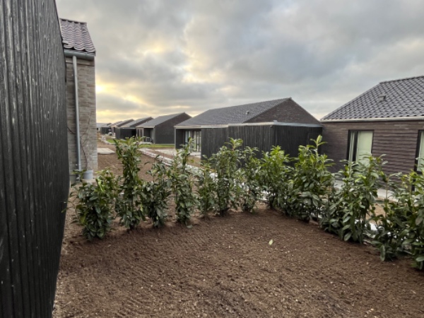 Levering og udlægning af rullegræs