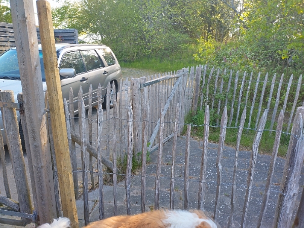 Reparation af hegn og carport tag