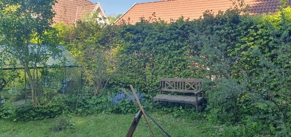 Pris på hækklipning