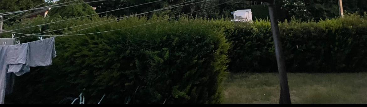 Hækkeklipning af 154 meter lang hæk ca 1,80 m høj. Affald bortskaffes