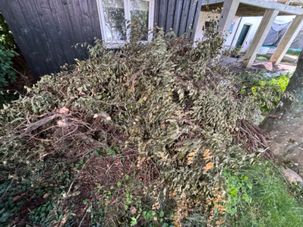 Fjerne hæk og haveaffald