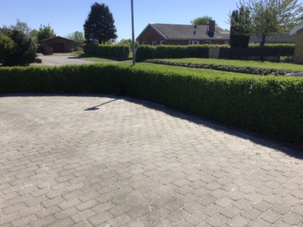 Hækklipning og buskbom-trimning