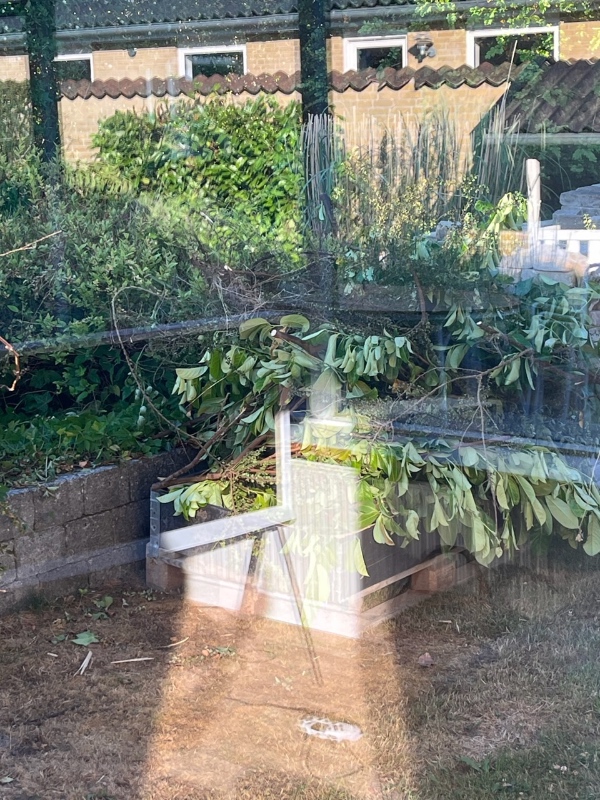 Fjernet alt haveaffald