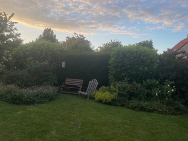 Hækklipning og beskæring af buske