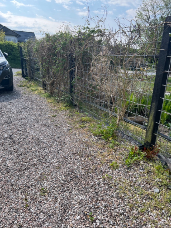 Forårs ukrudts rydning