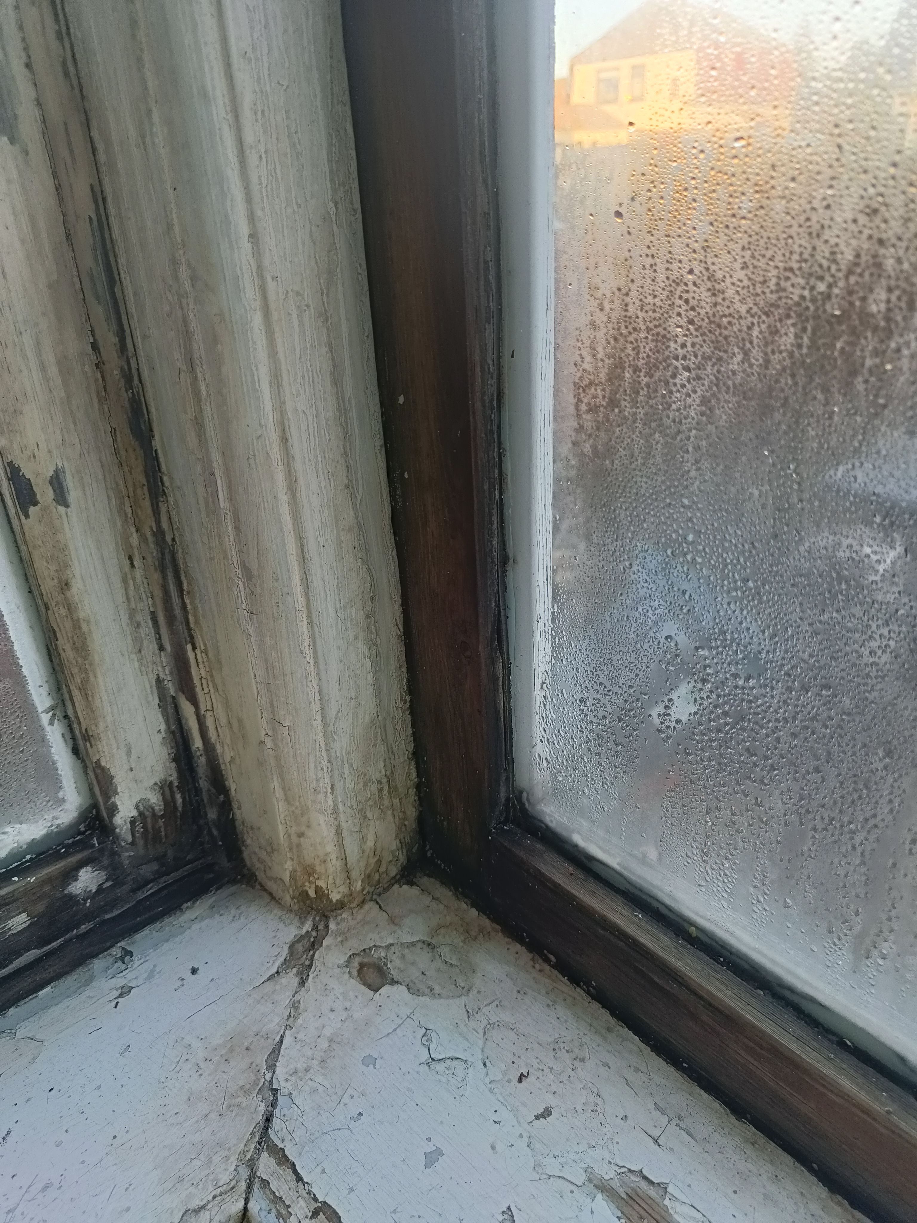 Skift af vindueskarme og 2 vinduer