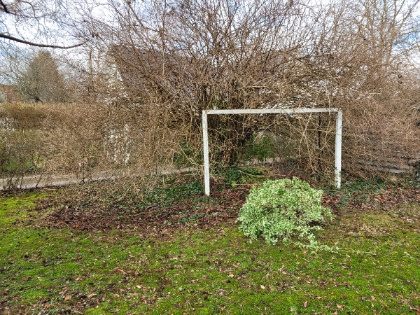 Tree clearing