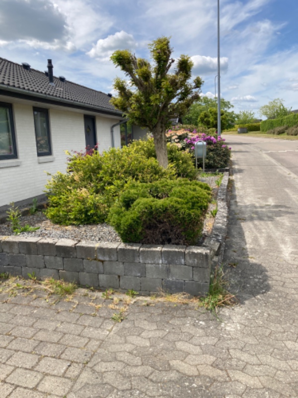Forhave samt terrasse, evt nye sten og udvidelse af terrasseområde
