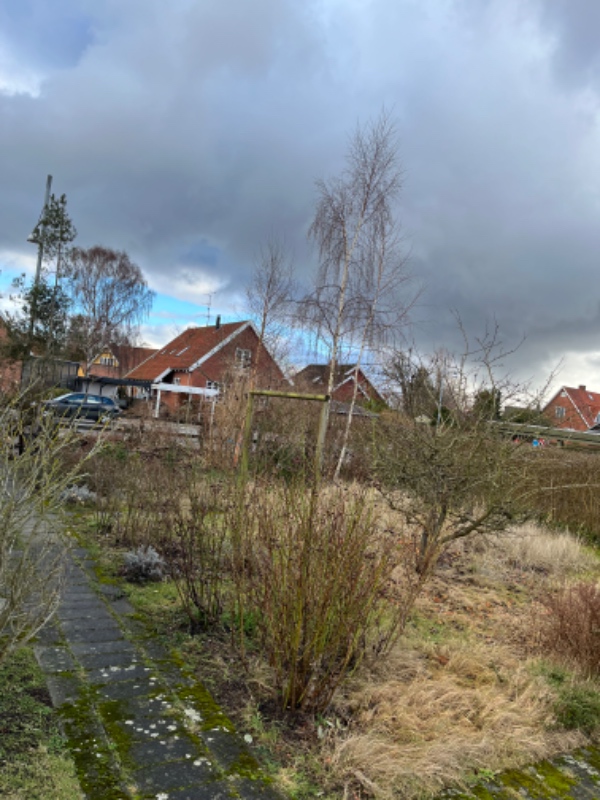 Have klargøring og beskæring