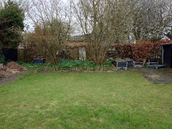 Fældning og fræsning af træer