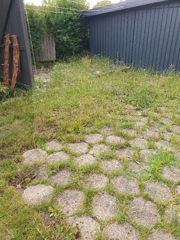 Ukrudt i indkørsel, fliser og lidt bede