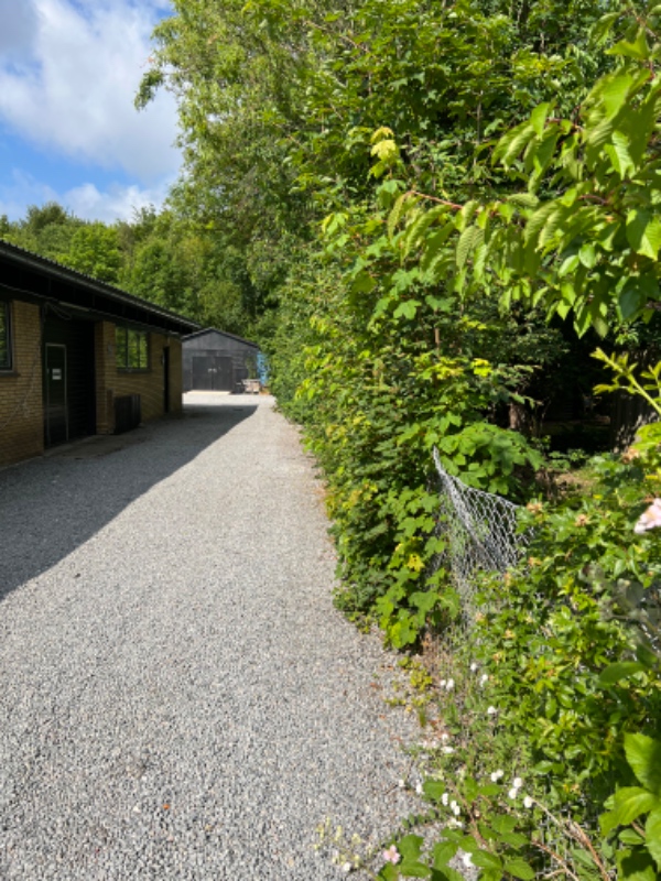 Klippet hæk og beskåret træ.