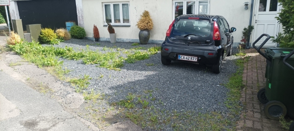 Ukrudtsfjernelse, fliserens, genbrugskørsel