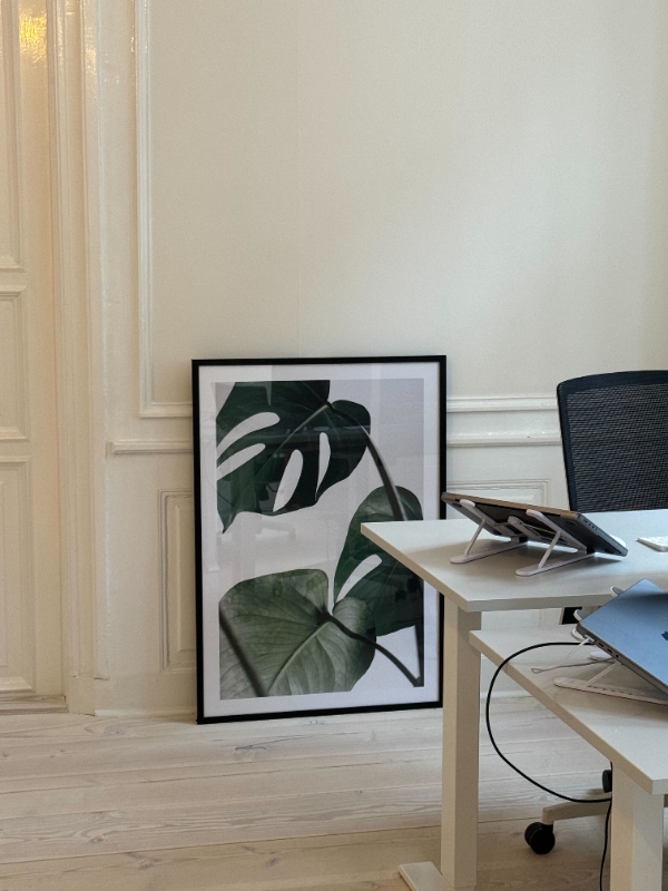 Ophæng af billeder og TV