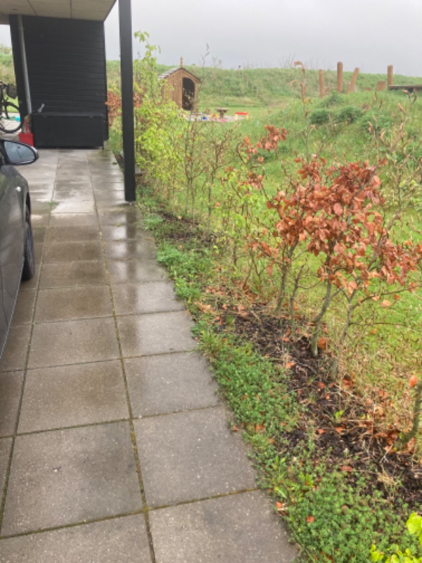 Fjern ukrudt og græsklipning