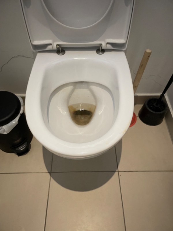 Skift af toiletkumme