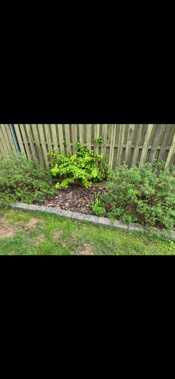 Udgravning til trampolin og træer