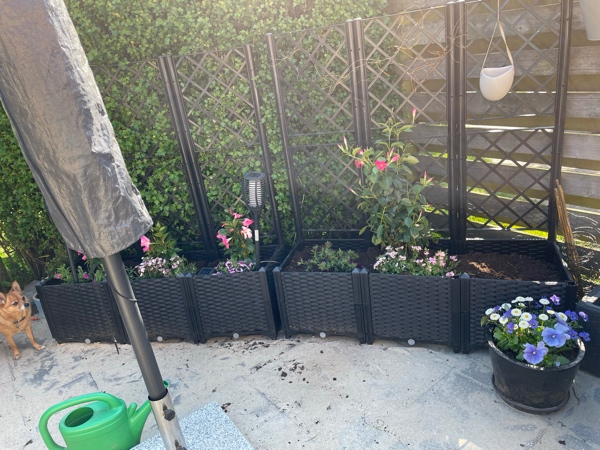 Flisebelægning i have (20 m2)