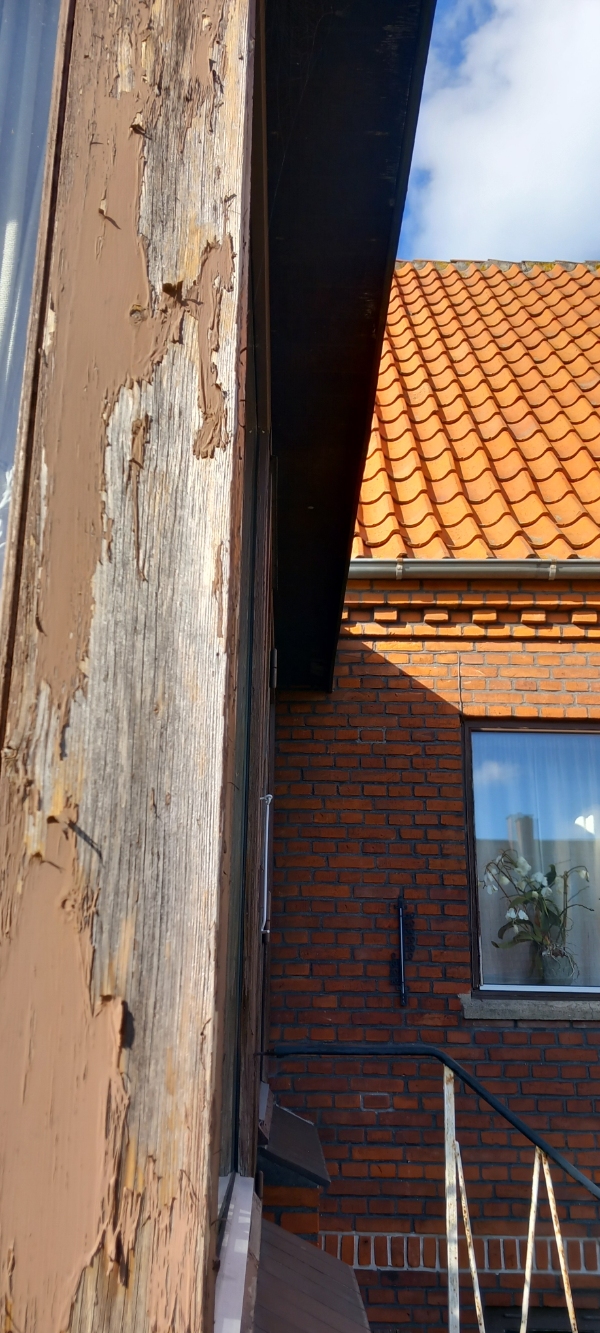 Træværket på udestuen skal slibes og males