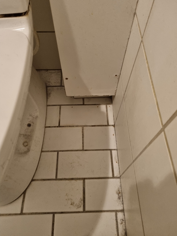 Rengøring af badeværelse inkl. afløb