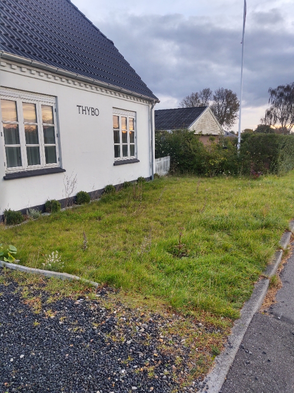 Slået græsplæne (800 kvm, højt), skære kanter ved bede, fjerne ukrudt i fliser og indkørsel.